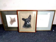 A framed drawing of a dog by Hogarth, dated 1995, together with two further signed pictures, cats,