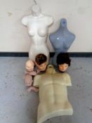 A crate of three twentieth century mannequin torso,