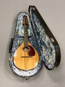 A Dave Gregory mandolin, numbered 120, York 1990, cased.