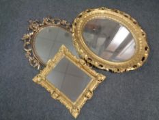 Three decorative gilt plastic framed mirrors