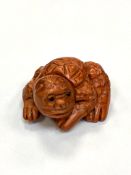 A Japanese carved fruitwood netsuke - Giant turtle.
