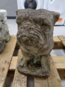 A concrete garden bulldog.