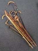 A bundle of assorted walking sticks and shepherd's crooks