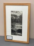 David Belilios : Havenshaw Linn, pen and ink, signed, 27 cm x 18 cm.