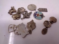 A quantity of charms