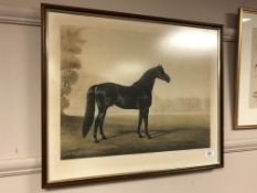 After Juliet Mcleod : Big Game, colour print,