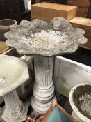 A concrete shell pedestal bird bath