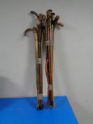 Two bundles of walking sticks