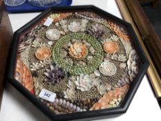 A modern octagonal shell collage.