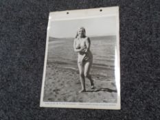 Original 1960 press photo for Marilyn Monroe's last film 'The Misfit's.