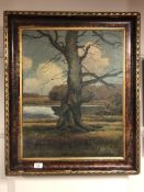 E Dalager : Study of a tree by a lake, oil-on-canvas, 47 x 60 cm.