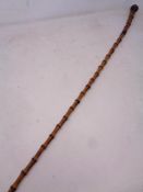 An Edwardian walking cane with silver pommel and band.