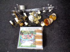 An adjustable ceiling light rack together with two brass ceiling lights and an Aquarium pool.