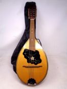 A Czechoslovakian bowl back 8 string mandolin in carry bag.