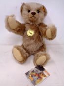 A Steiff classic teddy bear.