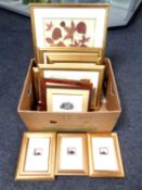A box of various gilt framed decorative pictures and prints, Egyptian prints etc.