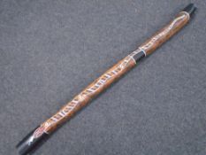 A didgeridoo.