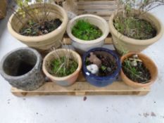 Seven assorted concrete, pottery and plastic garden planters.