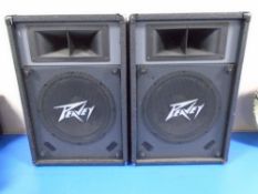 A pair of Peavey speakers.