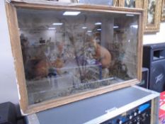 A taxidermy display case containing two red squirrels.