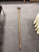 An eel spear (length 175cm).