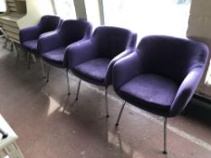A set of six armchairs on metal legs upholstered in purple fabric designed by Robin Day for Hille