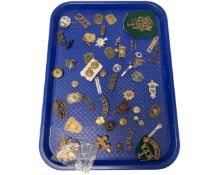 A collection of military badges and buttons, Norfolk Regiment, Royal Corps of Signals,