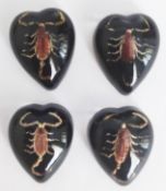 A collection of Middle Eastern encased Golden scorpions.