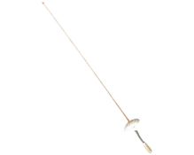 A fencing foil.