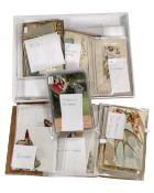 A collection of approximately 50 French and English postcards including silk and birthday examples.