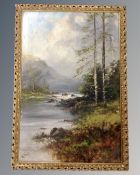 W. Milo (late 19th/early 20th century) : River in a wooded landscape, oil on canvas, 75cm by 50cm.