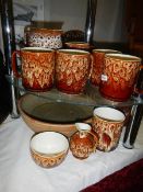 A mixed lot of earthenware including hot water bottle. (Collect only)