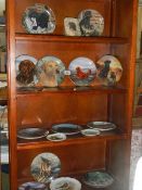 A collection of plates including Doulton.