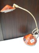An adjustable reading lamp.