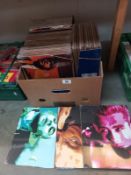 Approximately 48 pieces of pop art by Boyz Toyz