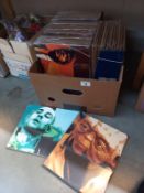 Approximately 48 pieces of pop art by Boyz Toyz