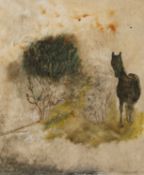 Tessa Newcomb (b.1955)