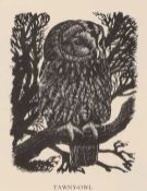 Charles Frederick Tunnicliffe RA (1901-1979)