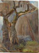 South German or Austrian, circa 1850/60. Tree study in the yard.