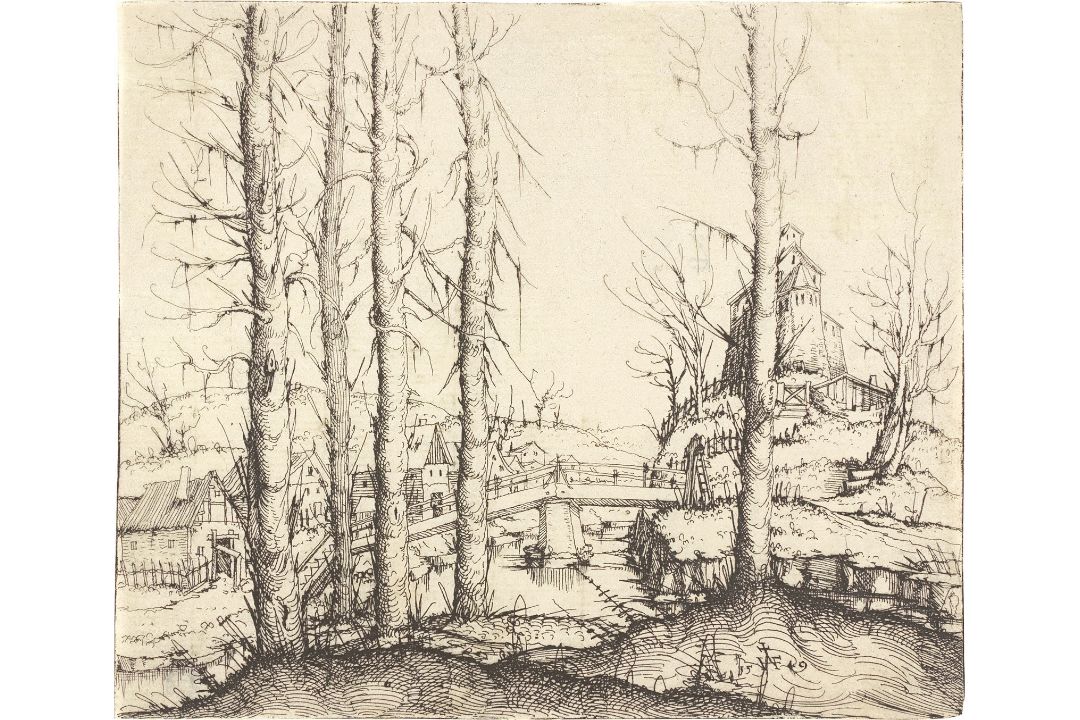 Augustin Hirschvogel. „Flusslandschaft mit fünf kahlen Fichten im Vordergrund“. 1549