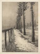 Max Klinger. ”Vier Landschaften. Opus VII”. 1883