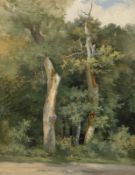 French, circa 1840. Tree Study.
