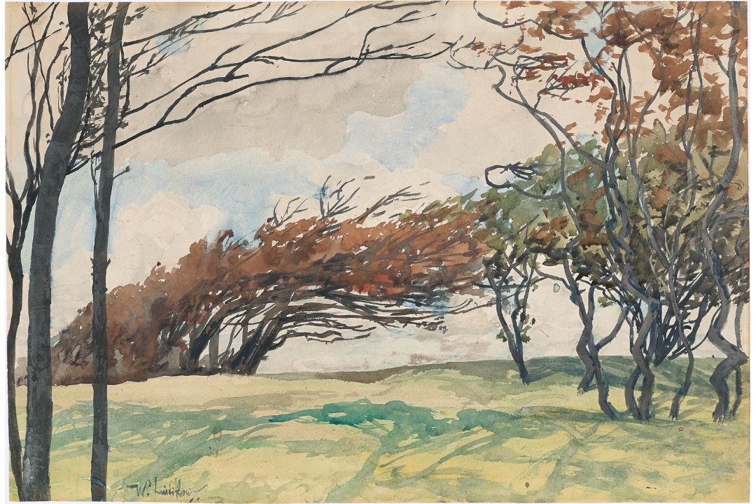 Walter Leistikow. „Verwehte Bäume (Dänemark)“. Um 1900