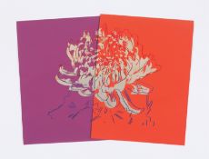 Andy Warhol. Kiku. Circa 1983