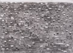 Thomas Hartmann. ”FLECKEN”. 1996