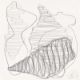 Tony Cragg. Ohne Titel. 1996 - Bild 1 aus 4