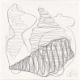 Tony Cragg. Ohne Titel. 1996 - Bild 2 aus 4