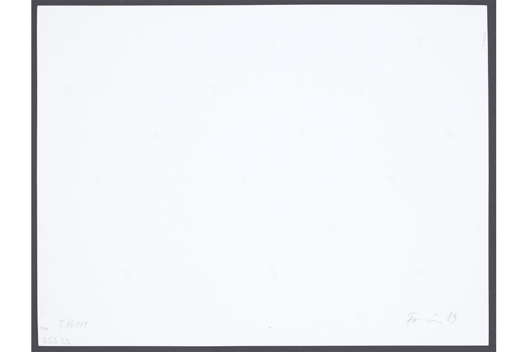 Günther Förg. „Barcelona Pavillon“. 1989 - Bild 4 aus 11