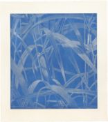 Franz Gertsch. Gräser I. 1999/2000