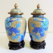 Pair Vintage Chinese JINGFA Cloison_ Lidded Jars